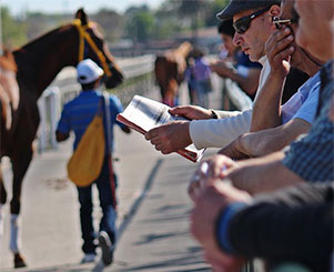 Thirsk Races 2025 Meetings
